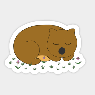 Wombat Dreaming Sticker